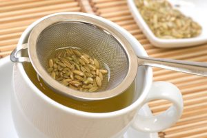 תה זרעים - טלי מסריק מטפלת ברפואת האיורוודה